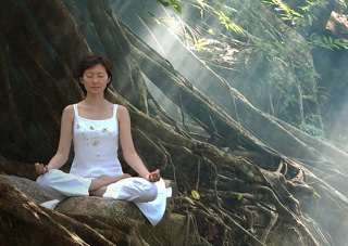 Buddhist Meditation Form