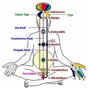 Kundalini Awakening Figure