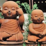 Male Virility Enhance