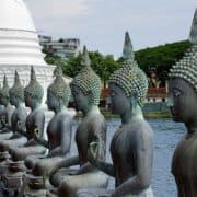 Buddhism Forest Meditation
