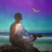 Meditation Reality