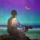 Meditation Reality