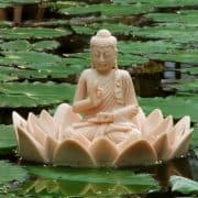 Zen Mind