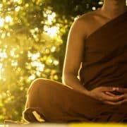 Yoga DVD Now Online