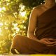 Yoga DVD Now Online