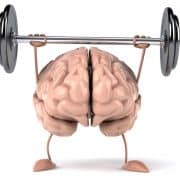 Meditation Good for Mind and Brain