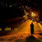 Buddhist meditation