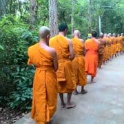 Walking Meditation