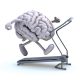 Brain Exercises