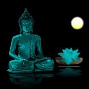 Yoga Meditation