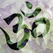 yoga and meditation survey