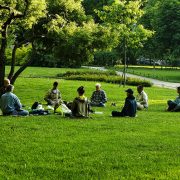 Meditation Instructor Program Updates