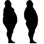 Free Yoga at Home Natural Weight Loss Program