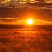 Yoga and Meditation Remain