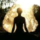 Advanced Mind Meditation