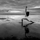 Body Fitness