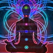 Yoga Sex Chakra Program