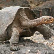 Yoga Breathing Technique to Feel Great