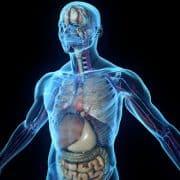 Excellent Kundalini Yoga