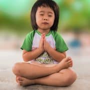 Intelligent Meditation