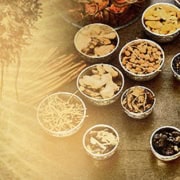 Introducing Ayurveda