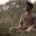 Indian male meditating with love in natural setting
