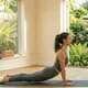 Cobra pose (bhujangasana) beginner backbend yoga posture