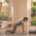 yoga for weight loss after 40 beginner flow showing chair pose, forearm plank and cobra pose in a gentle routine