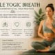 Detailed instruction card for Simple Yogic Breath