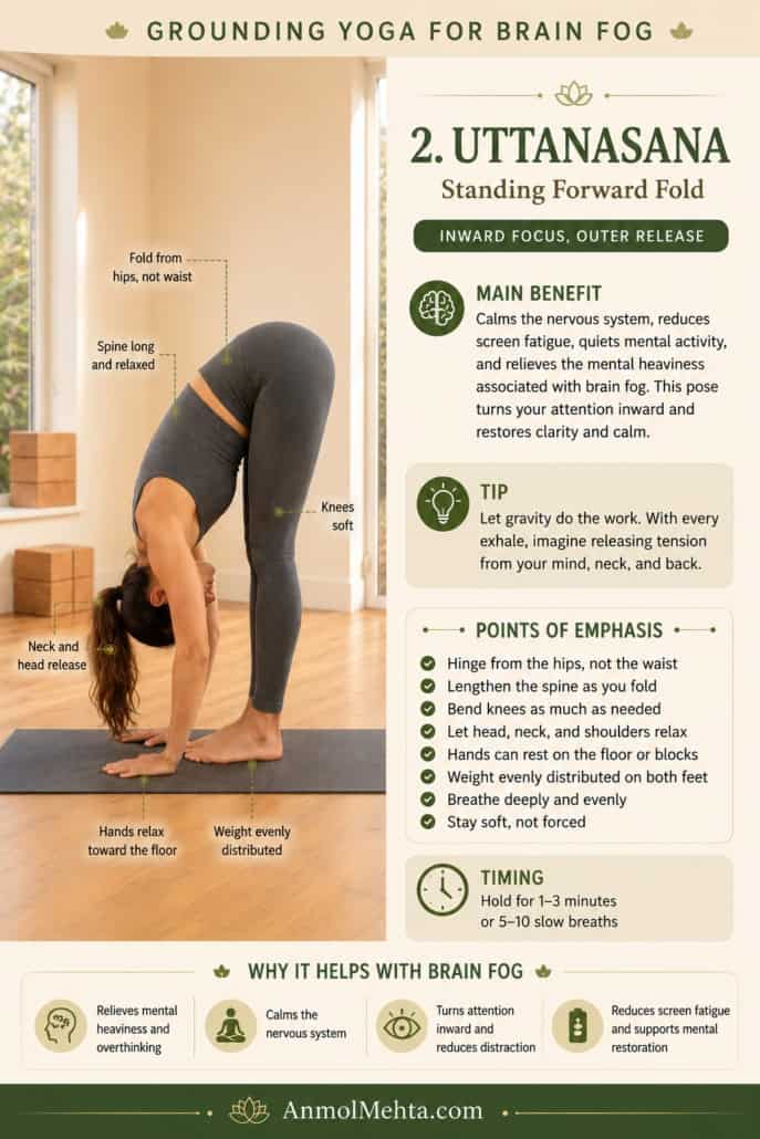 Yoga instructor practicing Uttanasana Standing Forward Fold in a peaceful yoga studio to reduce brain fog, relieve mental fatigue, calm the nervous system, and quiet excessive mental activity.