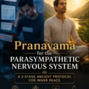 Pranayama for the parasympathetic nervous system showing a stressed man surrounded by digital overload on one side and the same man meditating peacefully in nature on the other, illustrating nervous system recovery, stress relief, and inner peace.