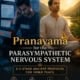 Pranayama for the parasympathetic nervous system showing a stressed man surrounded by digital overload on one side and the same man meditating peacefully in nature on the other, illustrating nervous system recovery, stress relief, and inner peace.